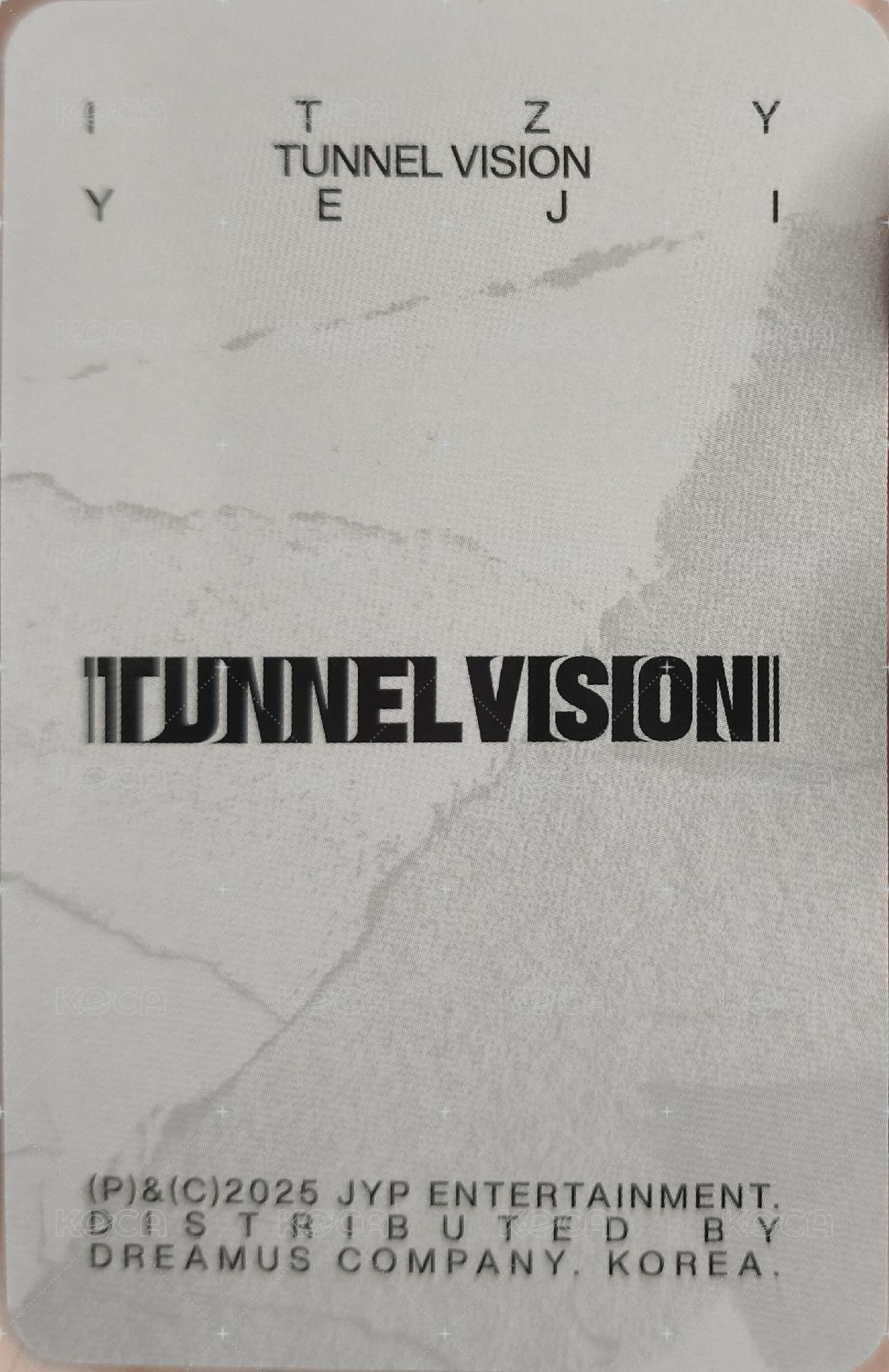 TNVS 特別版 專輯卡 預售禮 背面