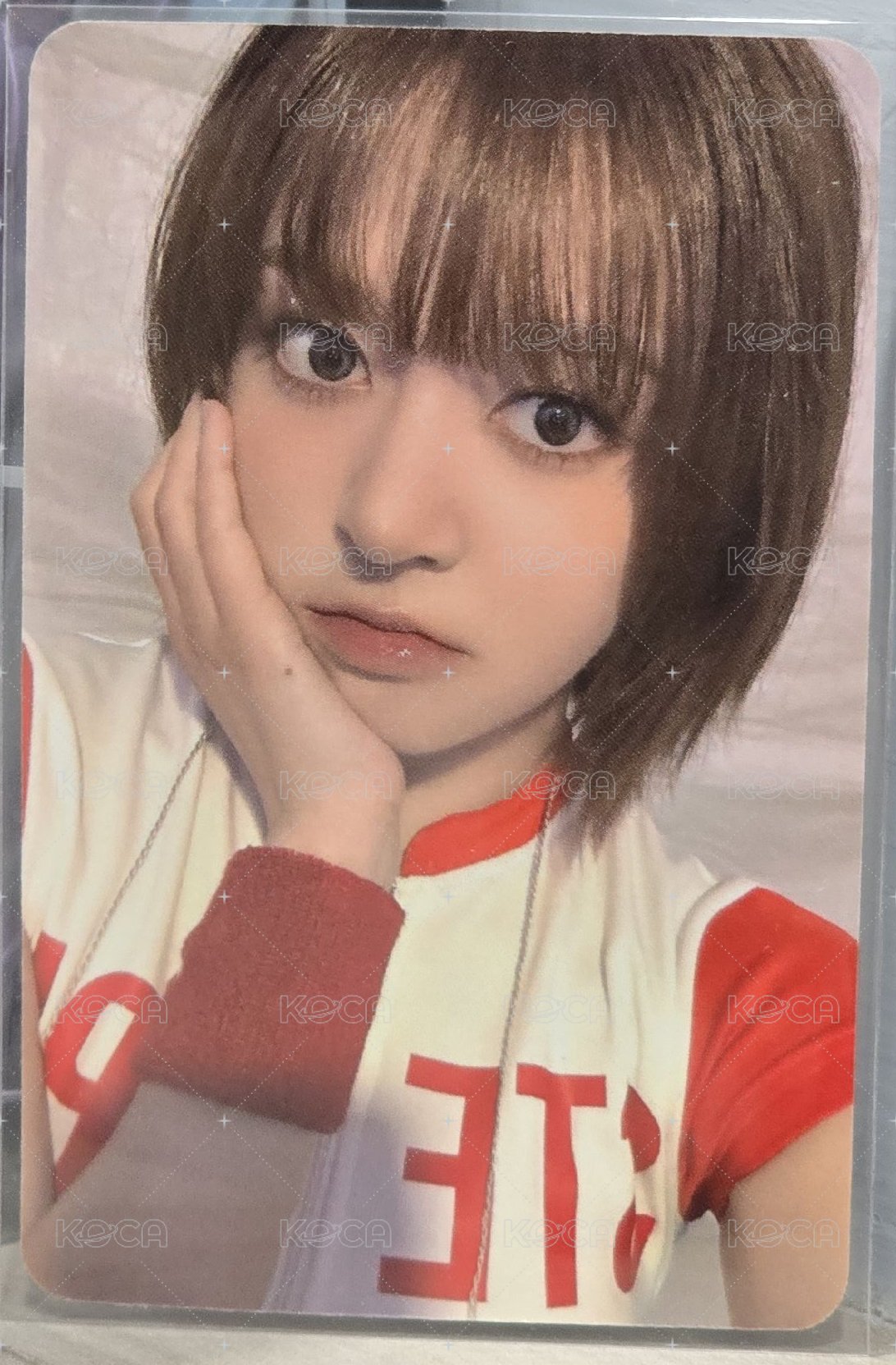 紅衣莉