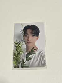 17 Is Right Here Dear ver. 專輯卡