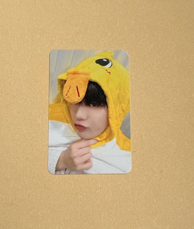 迷五ms動物睡衣來