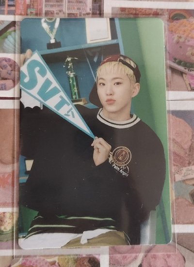 woozi.hoshi.jun小卡