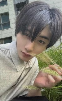 The Action wvs sc A版 直播卡 