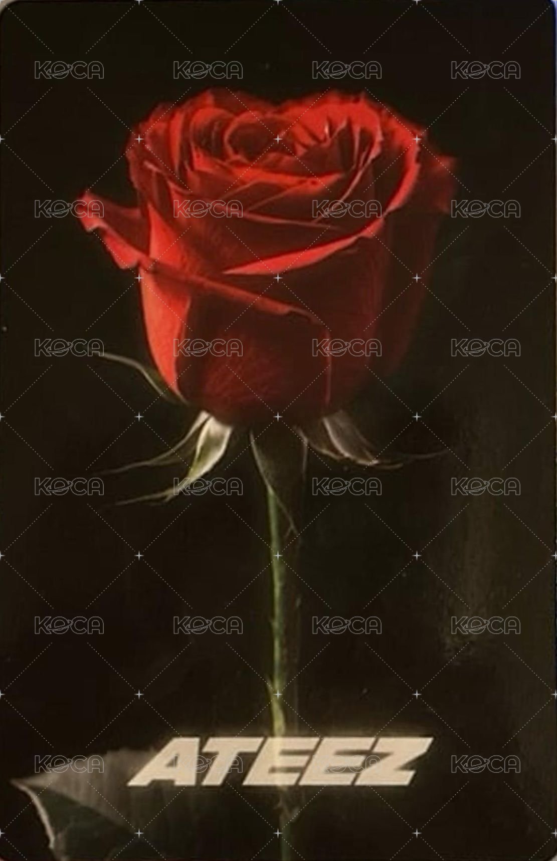 GH2 hello82 Vinyl 特典卡 ROMANTIC ver. 背面