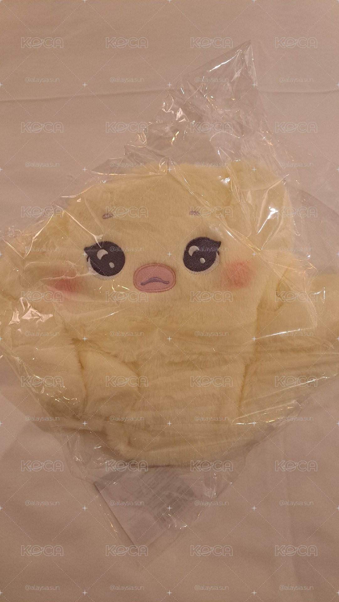 裴帽子