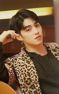 特二 yzy 特典卡 語音卡 中背卡