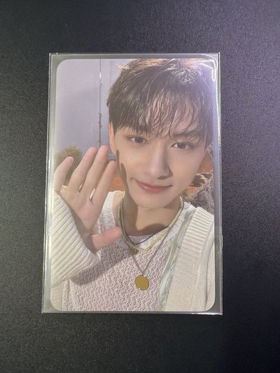 正四 wvs 俊 掰掰貓