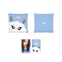 2024生日快閃 抱枕 小卡組