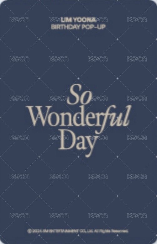 2024生日快閃 周邊卡 袋子卡B 背面