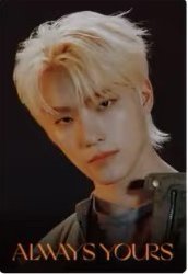 萬代聯名 周邊卡 威化餅乾卡