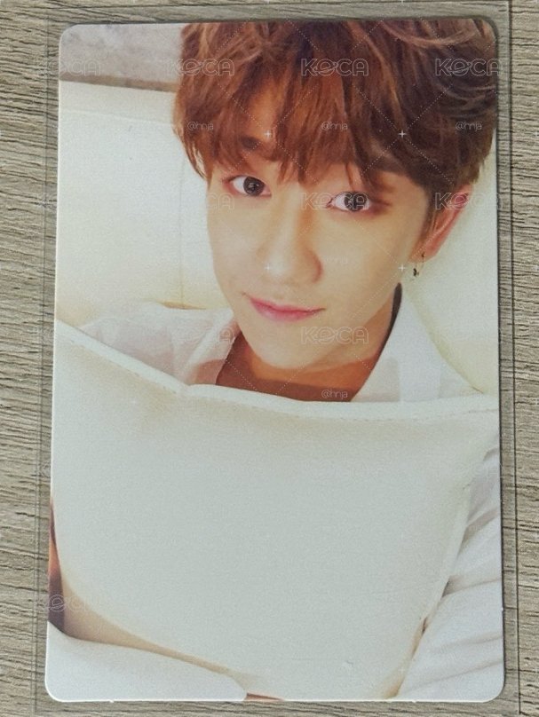 svt 正二 專卡八