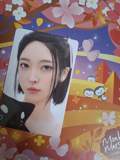 家族專專卡 naevis