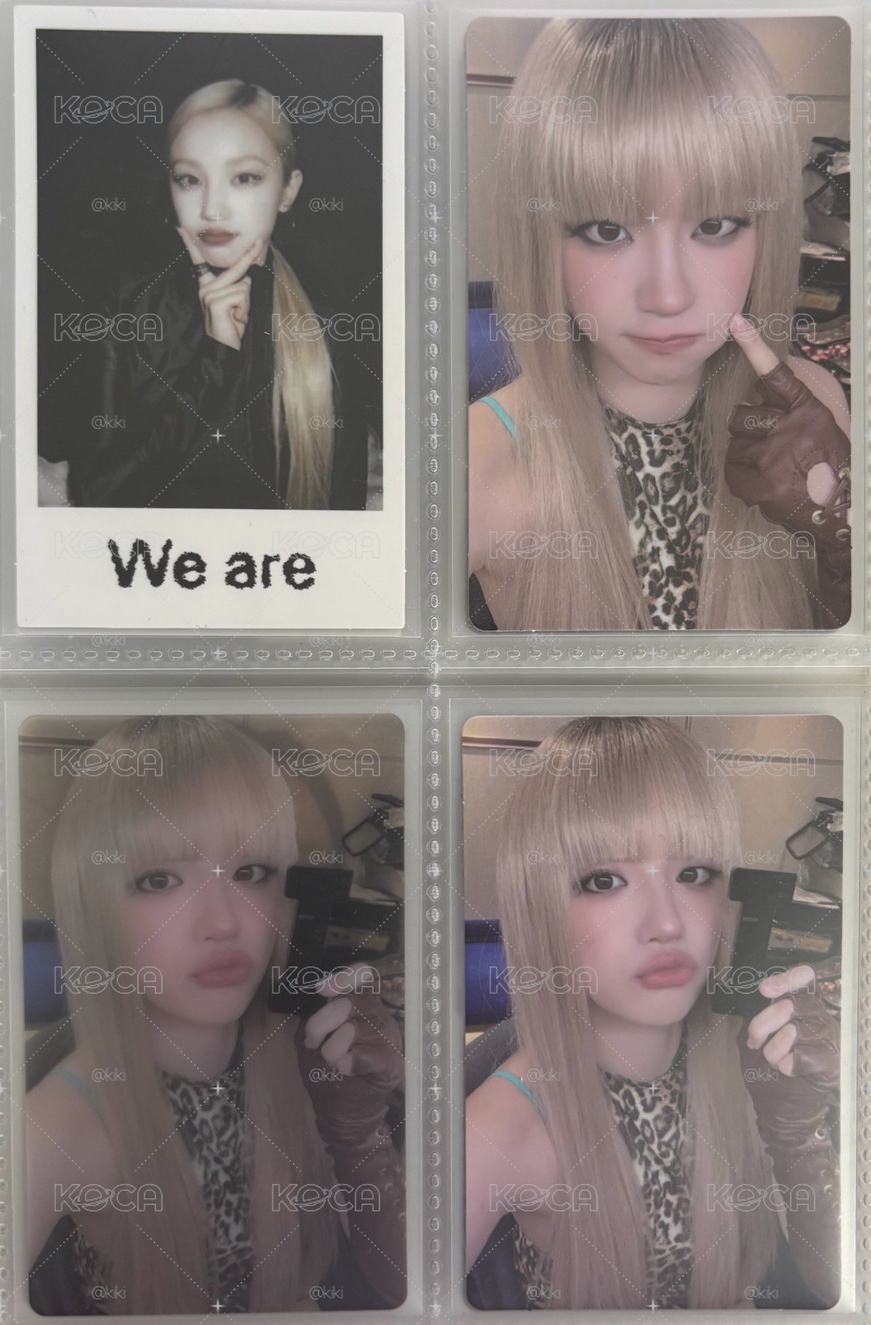 we are wvs預售