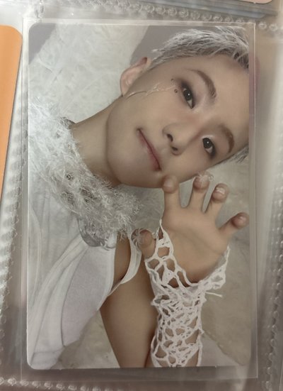 Hoshi 正五專輯卡