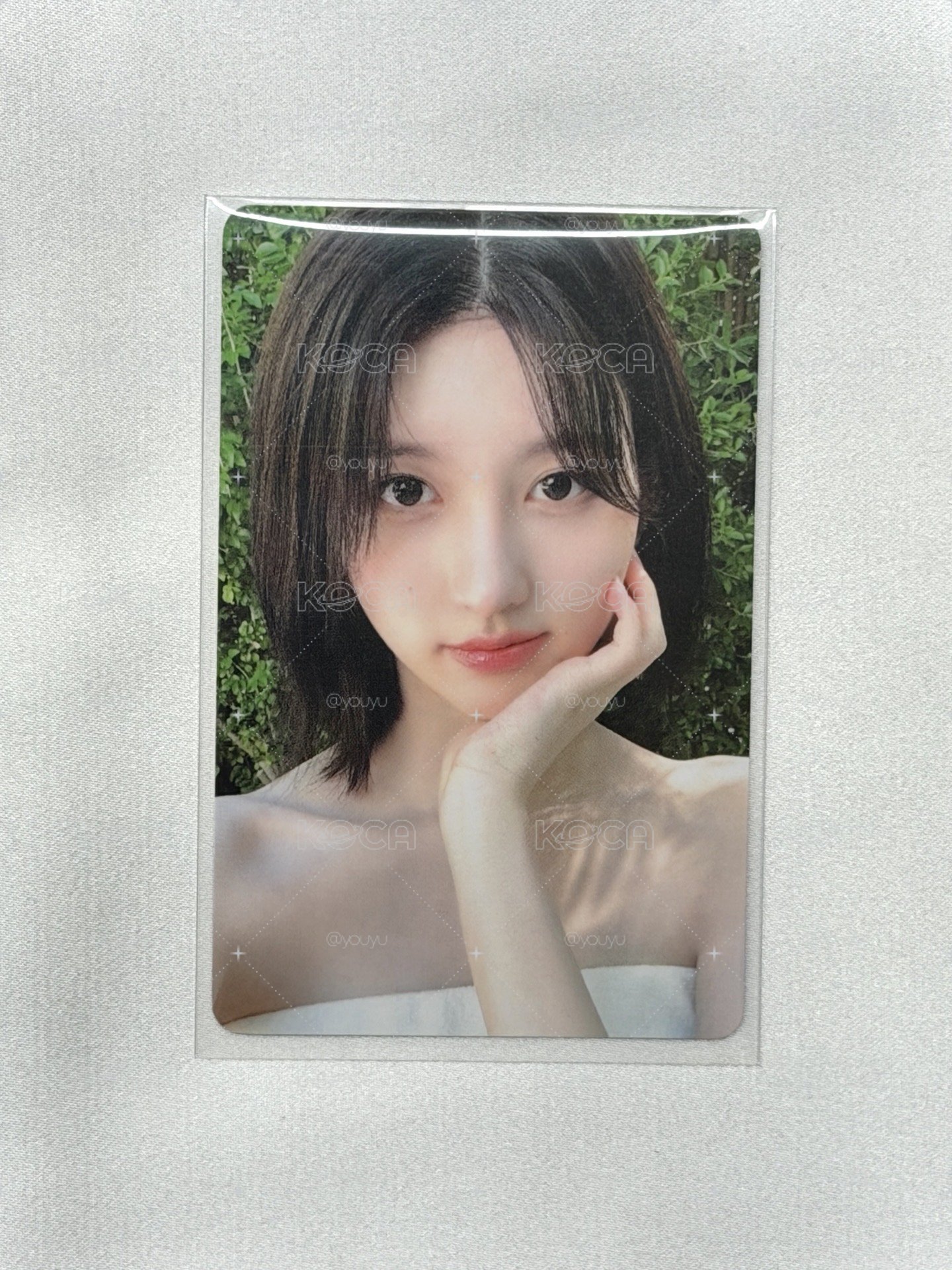 夏寫wm秋