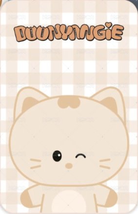 MINICATCHER 周邊卡  背面