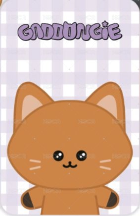 MINICATCHER 周邊卡  背面
