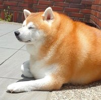 橙汁