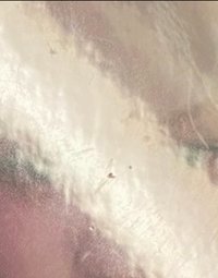 倫敦滿額肉一套