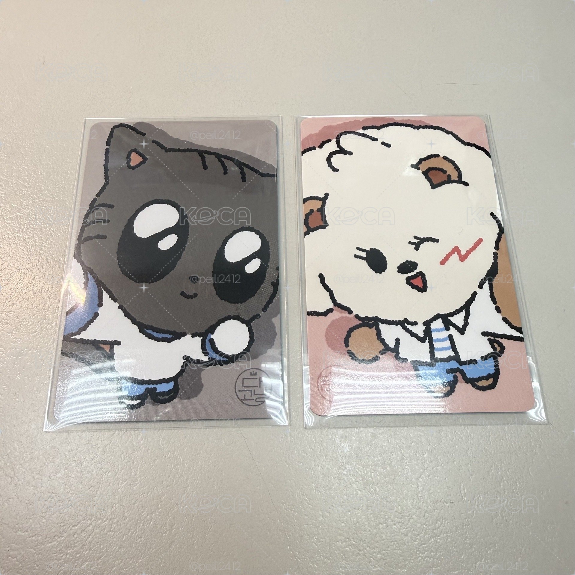 TXT PPULBATU SUMMER TOGETHER 滿額卡
