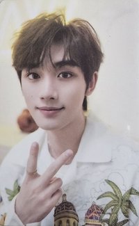 二專 造夏R卡 B版 隨機卡 