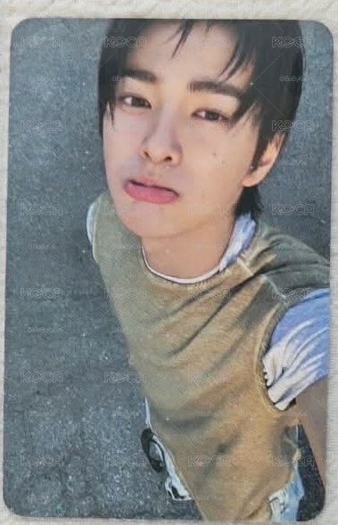 bdm 鎬