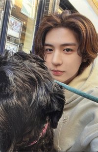 HOW? 單封 專輯卡 Sticker ver.