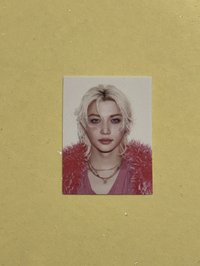 Do it 貼紙證件照