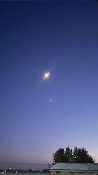 青青