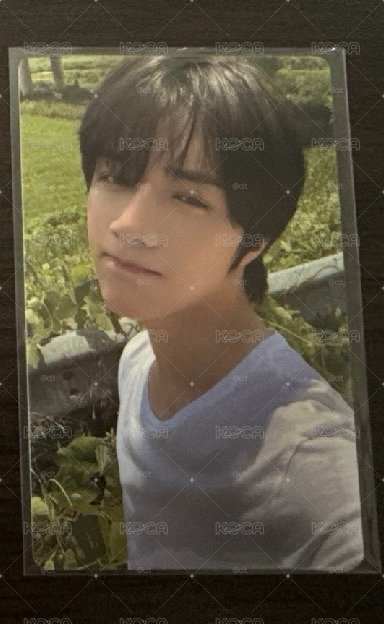 wvs sc pb 圭