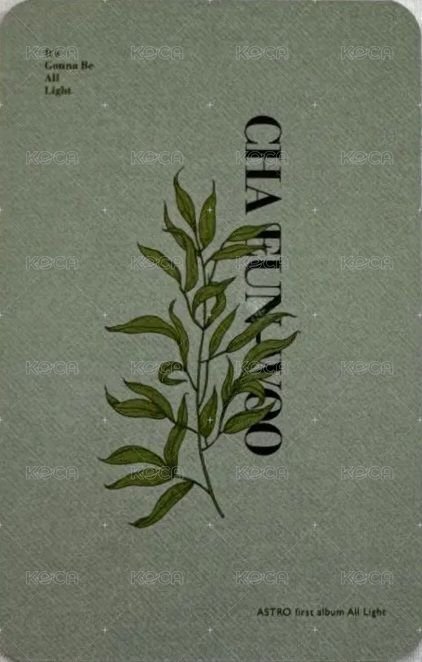 正一 專輯卡 Green ver. 背面