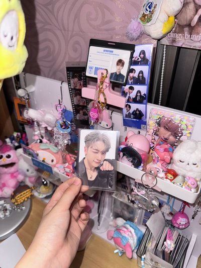 石馬修小卡（很多。）