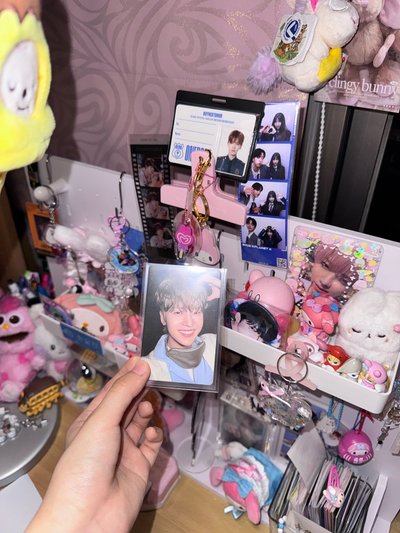 石馬修小卡（很多。）