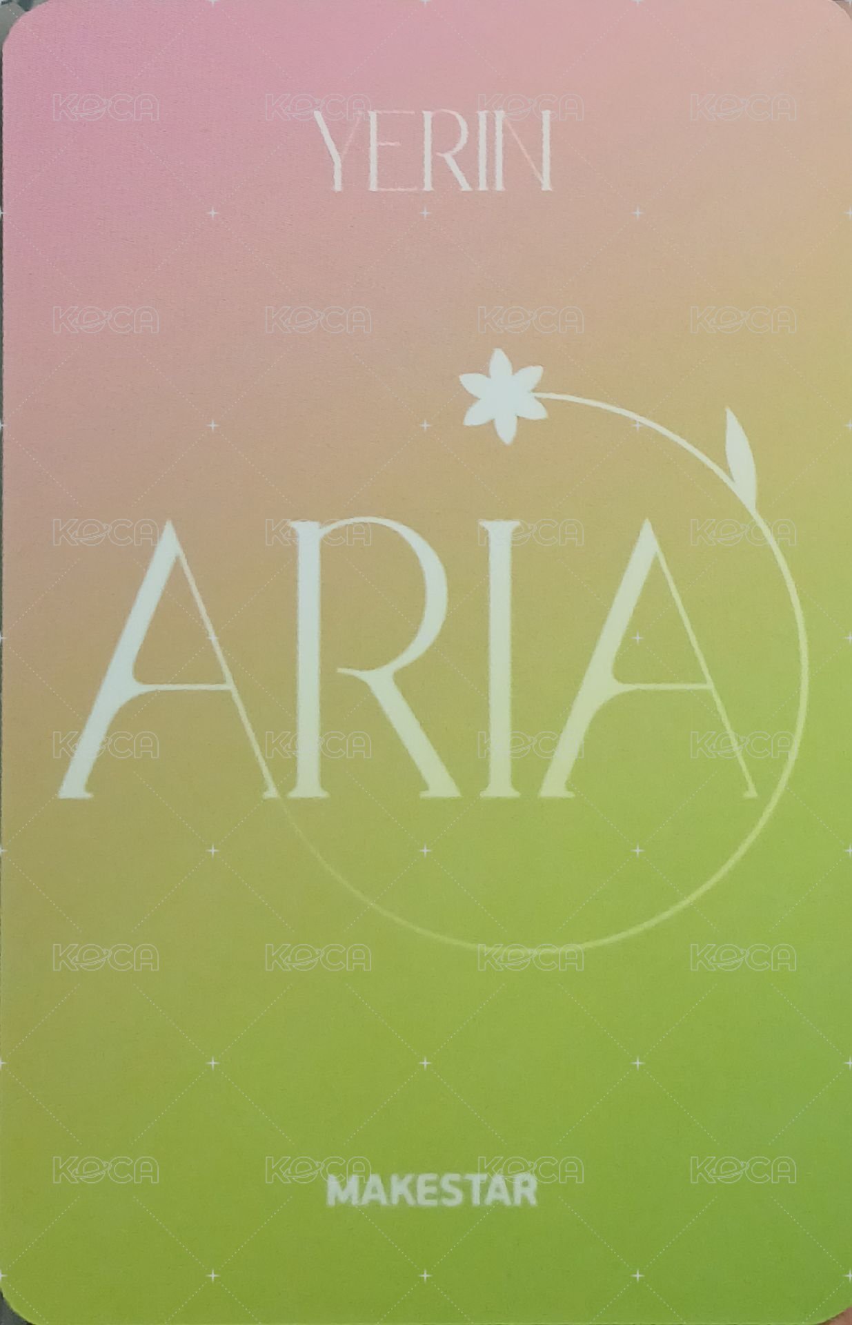 ARIA ms 線下 簽售卡  背面