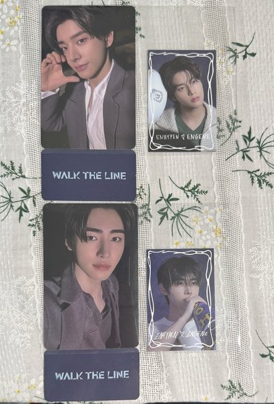 可直拍 高陽場倫 訓 wvs特典/DVD小卡