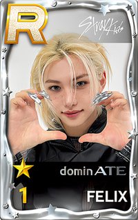 SUPERSTAR 遊戲卡 dominATE