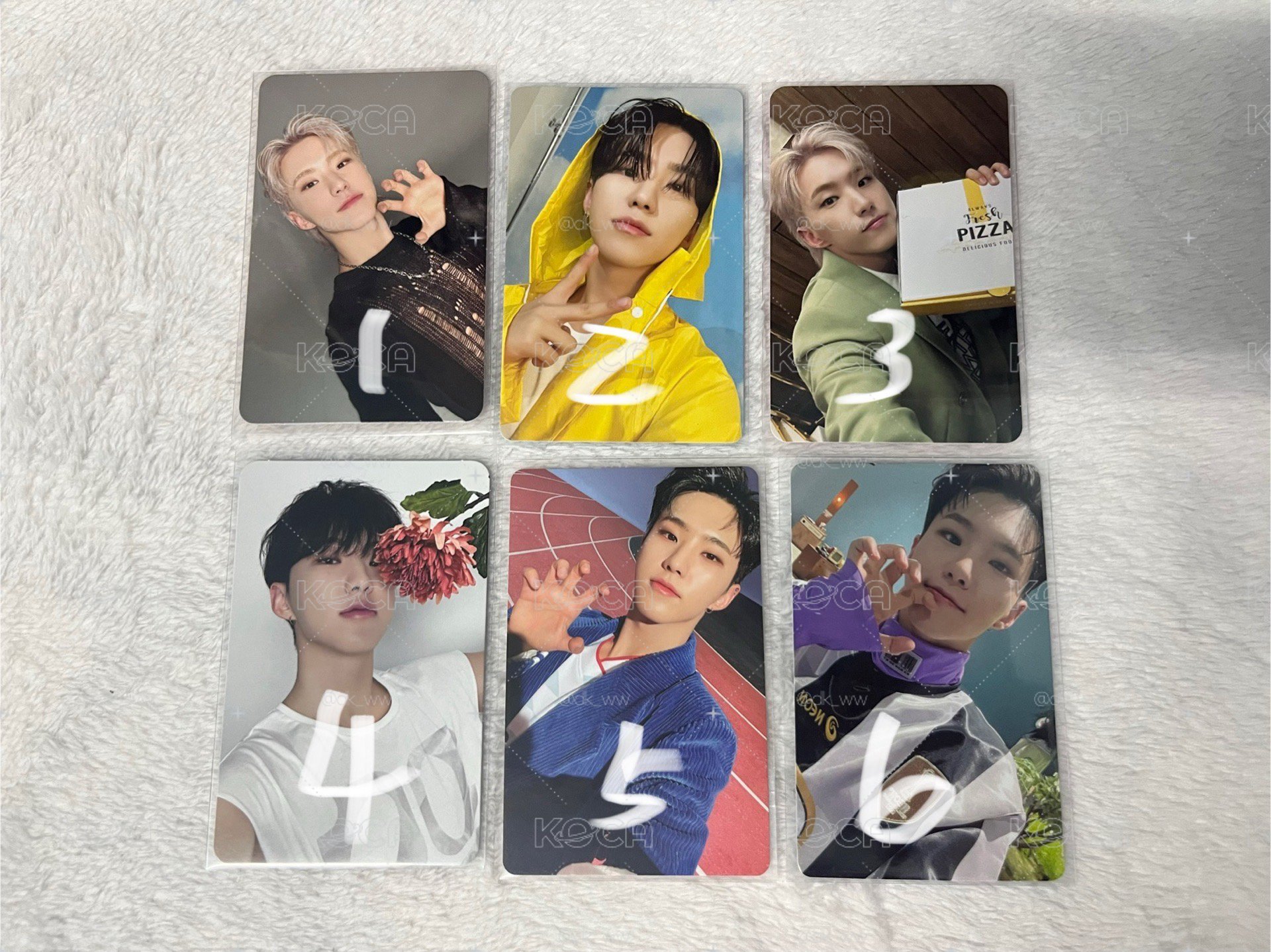 Hoshi🐯