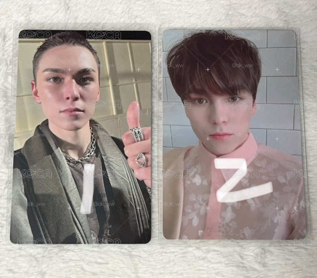 Vernon🐻‍❄️