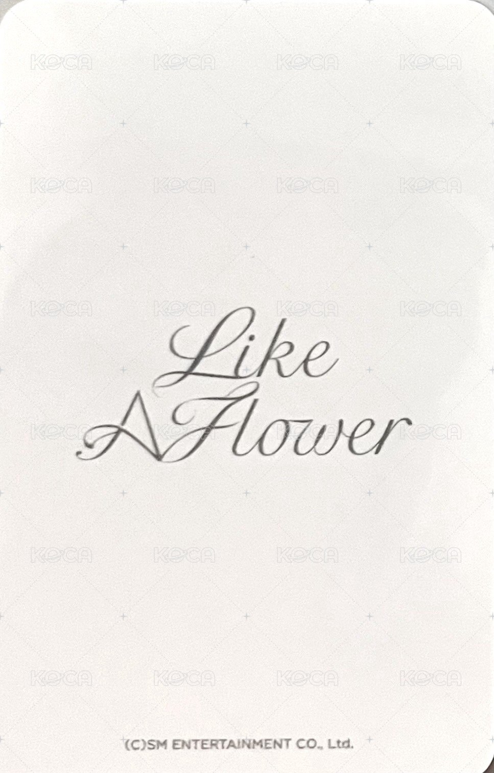 Like A Flower 周邊卡 娃娃姐 背面