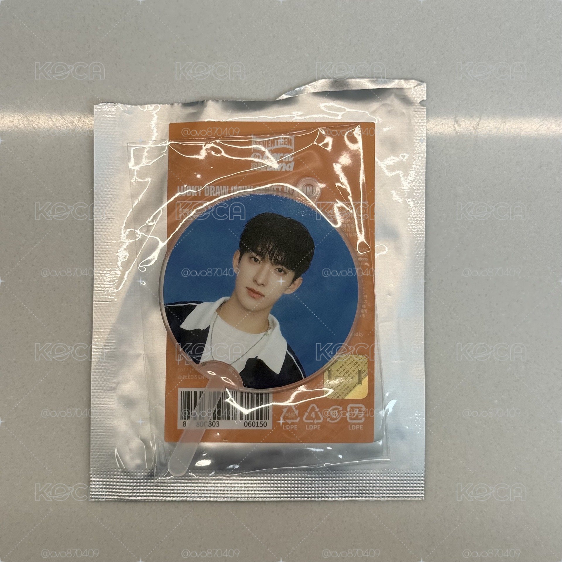 克拉島碩小扇