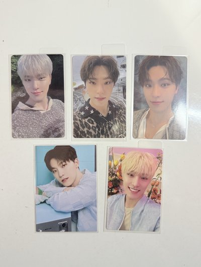 燦 日專卡 隨機卡🦦˚｡⋆ 𝜗𝜚