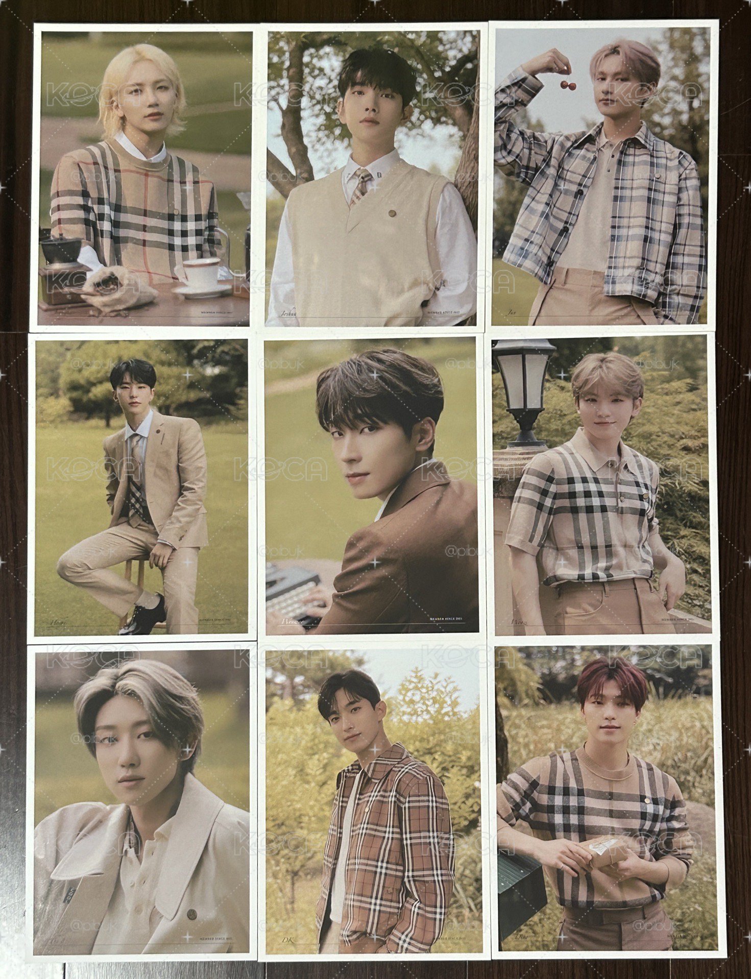 SEVENTEEN Social Club:CARAT 大卡 資料卡 明信片