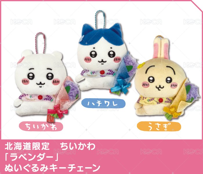 北海道薰衣草小八