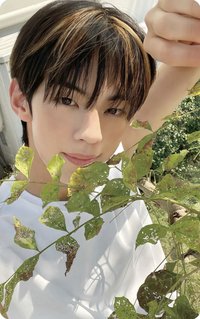 SUMMER BEAT! 環球 特典卡 