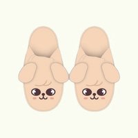 日本會員 6週年 拖鞋 