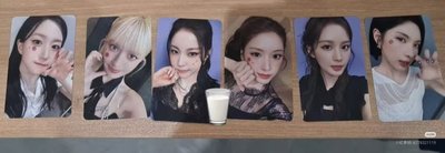 貓貼片 章魚小丸子