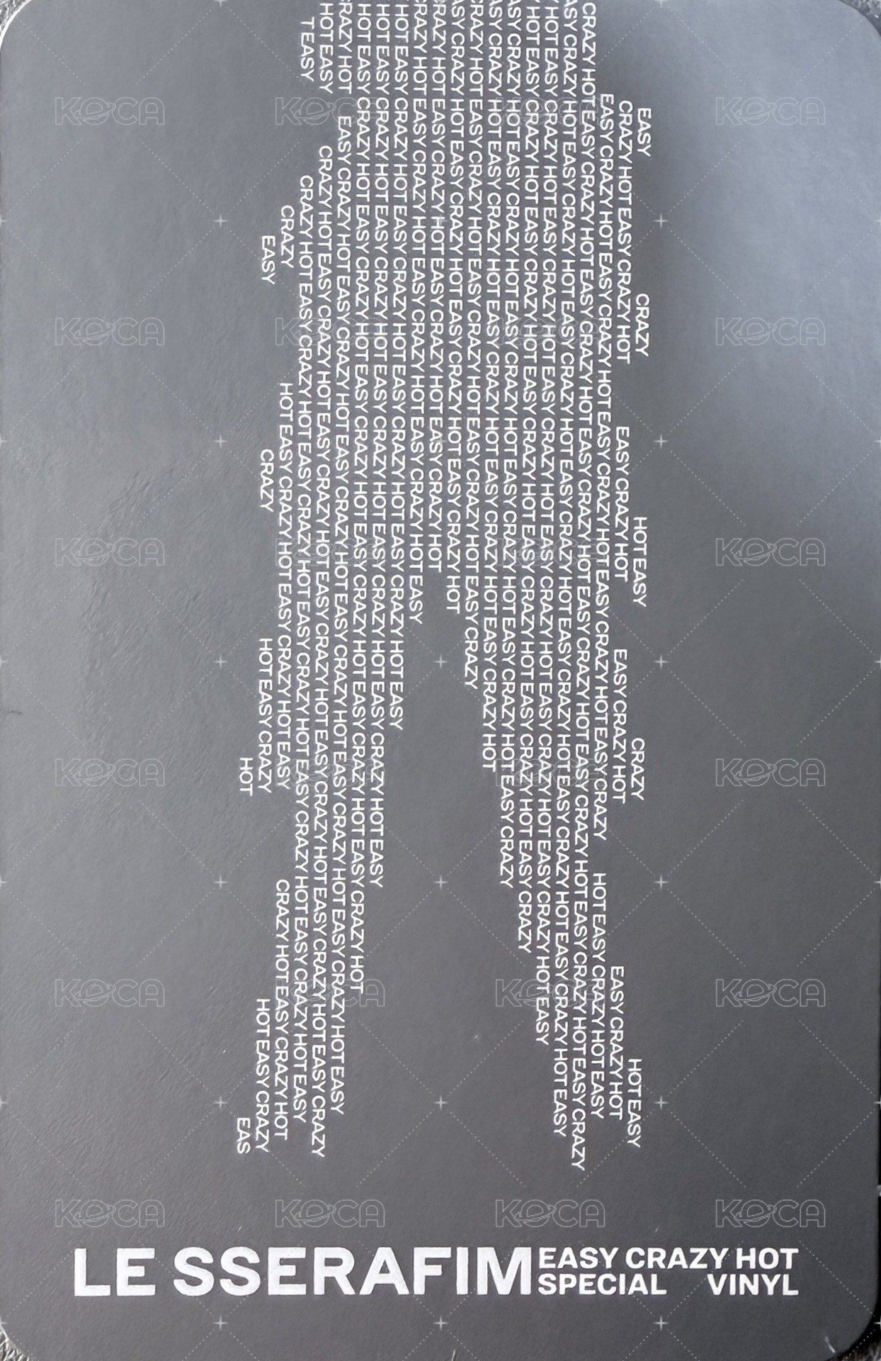 官方周邊 黑膠 專輯卡 (Silver) 背面