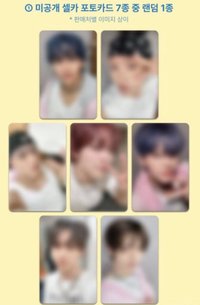 正規五 MS 幸運卡