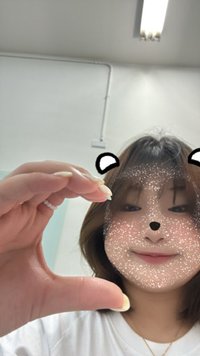 一隻母雞
