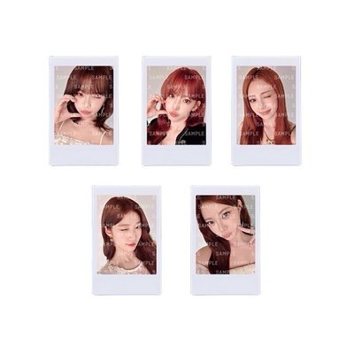 東蛋小卡&拍立得