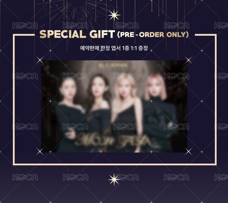 COUPON CARD COLLECTION MOON FESTA